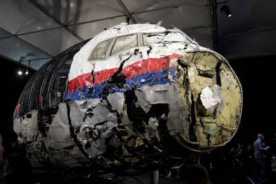 Мария Захарова - ЕСПЧ зарегистрировал иск Нидерландов против России по поводу рейса MH17 - rtvi.com - Россия - Голландия - Куала-Лумпур - Амстердам
