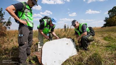 Николай Топорнин - Топорин уверен, что процесс расследования крушения рейса MH17 полностью политизировался - nation-news.ru - Голландия - Малайзия