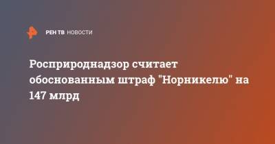Светлана Радионова - Росприроднадзор считает обоснованным штраф "Норникелю" на 147 млрд - ren.tv - Россия - Норильск