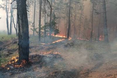 В Хабаровском крае действуют 7 природных пожаров - hab.aif.ru - Хабаровский край