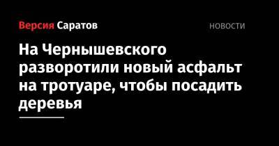 На Чернышевского разворотили новый асфальт на тротуаре, чтобы посадить деревья - nversia.ru - Саратов