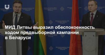 МИД Литвы выразил обеспокоенность ходом предвыборной кампании в Беларуси - news.tut.by - Белоруссия - Литва