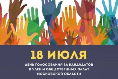 Стало известно, когда пройдет голосование за кандидатов в члены Общественной палаты Серпухова - serp.mk.ru - Московская обл.