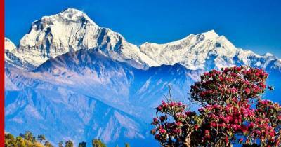 Ученые обнаружили в Гималаях сейсмоопасный разлом - profile.ru - Непал