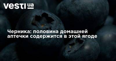 Черника: половина домашней аптечки содержится в этой ягоде - vesti.ua