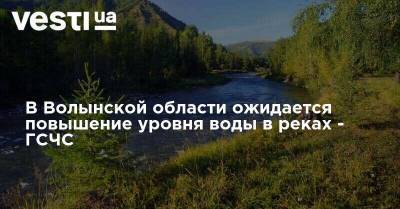 В Волынской области ожидается повышение уровня воды в реках - ГСЧС - vesti.ua - Украина - Ивано-Франковская обл. - Волынская обл. - Речица - Гсчс