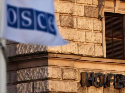 Александр Литвиненко - Евгений Цымбалюк - Российская делегация в ОБСЕ устроила демарш на заседании по теме гибридных угроз – дипломат - gordonua.com - Россия - Украина - Вена