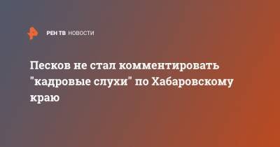 Дмитрий Песков - Михаил Дегтярев - Песков не стал комментировать "кадровые слухи" по Хабаровскому краю - ren.tv - Россия - Хабаровский край