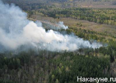В Челябинском городском бору загорелась трава - nakanune.ru - Челябинск