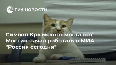 Символ Крымского моста кот Мостик начал работать в МИА "Россия сегодня" - ria.ru - Россия - Симферополь - Европа