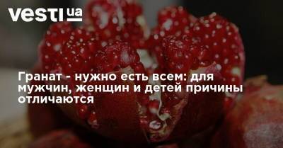 Гранат - нужно есть всем: для мужчин, женщин и детей причины отличаются - vesti.ua - Рим