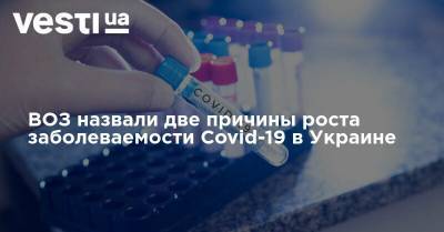 ВОЗ назвали две причины роста заболеваемости Covid-19 в Украине - vesti.ua - Украина