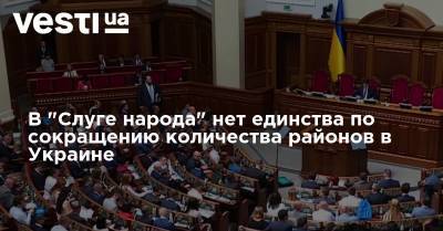 Давид Арахамия - В "Слуге народа" нет единства по сокращению количества районов в Украине - vesti.ua - Украина