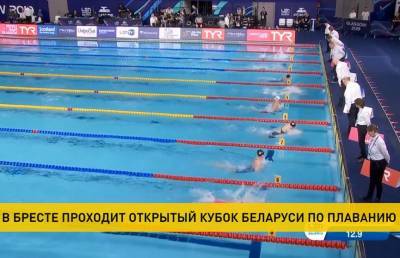 Новые рекорды: в Бресте проходит открытый Кубок Беларуси по плаванию - ont.by - Белоруссия