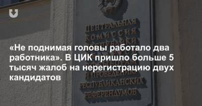 Лидия Ермошина - «Не поднимая головы работало два работника». В ЦИК пришло больше 5 тысяч жалоб на нерегистрацию двух кандидатов - news.tut.by