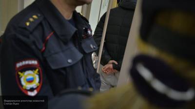 Полиция задержала 17 человек на пикетах в поддержку фигурантов дела "Нового величия" - polit.info