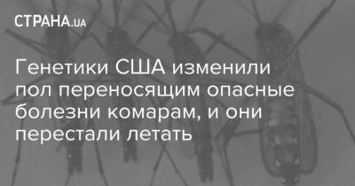 Пол - Генетики США изменили пол переносящим опасные болезни комарам, и они перестали летать - strana.ua - США