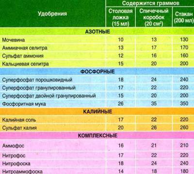 Чем и как правильно подкормить овощи на огороде в июле — минеральными и органическими веществами, советы экспертов - pravda-tv.ru