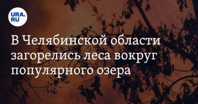 В Челябинской области загорелись леса вокруг популярного озера - ura.news - Челябинская обл. - Миасс