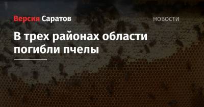 В трех районах области погибли пчелы - nversia.ru - Саратовская обл.