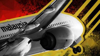 Очевидцы катастрофы MH17: Вина Украины не требует доказательств - riafan.ru - Россия - Украина - ДНР - Голландия - Малайзия - Куала-Лумпур - Амстердам