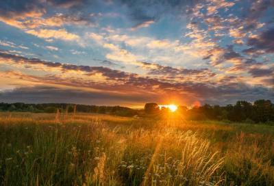 «А где-то в поле играет солнце»: пятничный рассвет вдохновил фотографа из Луги на стихи - online47.ru - Кудрово - Луга