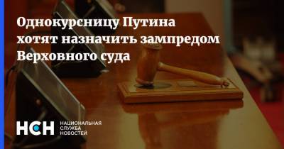 Путин - Однокурсницу Путина хотят назначить зампредом Верховного суда - nsn.fm - Санкт-Петербург