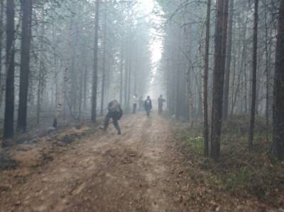 В Югре в причинах распространения лесных пожаров разберутся следователи - nakanune.ru - Югра - р-н Советский - Югорск