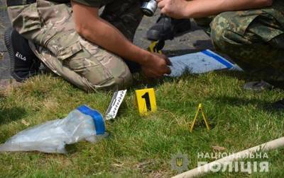 В Житомире взорвали гранату возле дома экс-нардепа Розенблата - korrespondent.net - Житомир