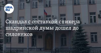 Скандал с отставкой спикера шадринской думы дошел до силовиков. «Какой-то бесконечный бардак» - ura.news - Шадринск