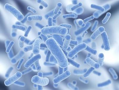 Ученые обнаружили бактерию, которая питается металлом - Cursorinfo: главные новости Израиля - cursorinfo.co.il - США - Израиль