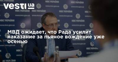 Антон Геращенко - МВД ожидает, что Рада усилит наказание за пьяное вождение уже осенью - vesti.ua