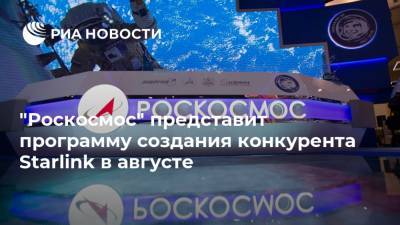 Владимир Путин - "Роскосмос" представит программу создания конкурента Starlink в августе - ria.ru