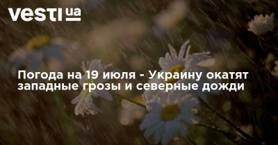 Наталья Диденко - Погода на 19 июля - Украину окатят западные грозы и северные дожди - vesti.ua - Украина