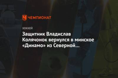 Защитник Владислав Колячонок вернулся в минское «Динамо» из Северной Америки - championat.com - Белоруссия - шт.Флорида - Минск