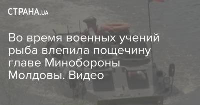 Во время военных учений рыба влепила пощечину главе Минобороны Молдовы. Видео - strana.ua - Украина - Молдавия