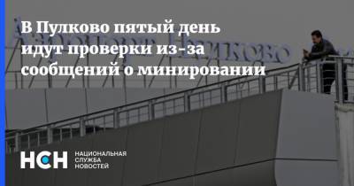 В Пулково пятый день идут проверки из-за сообщений о минировании - nsn.fm - Санкт-Петербург