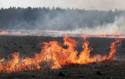 Вблизи Волновахи горело пшеничное поле площадью 147 гектаров - rbc.ua - Украина - Волноваха - Донецкая обл.