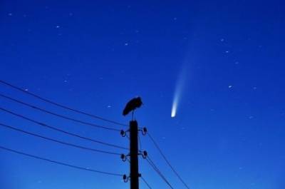 Фото дня: Аист и комета C/2020 F3 NEOWISE - enovosty.com - Украина - Франция - Харьков