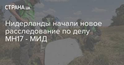 Евгений Енин - Нидерланды начали новое расследование по делу MH17 - МИД - strana.ua - Россия - Украина - Киев - Голландия - Донбасс