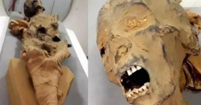 Захи Хавасс - Археологи раскрыли тайну смерти "кричащей мумии" - ren.tv - Египет - Каир