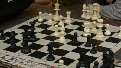 Юные пензенские шахматисты сразились на свежем воздухе - penzainform.ru