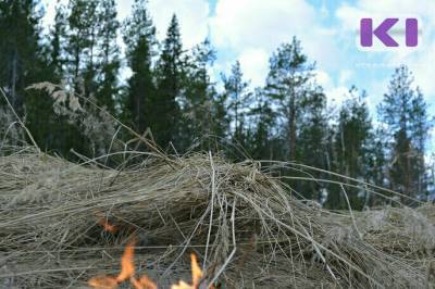 В Прилузском и Койгородском районах 20 июля ожидается высокая пожароопасность - komiinform.ru - респ. Коми