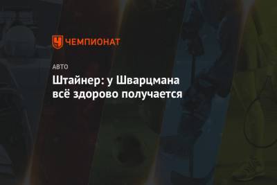 Гюнтер Штайнер - Роберт Шварцман - Штайнер: у Шварцмана всё здорово получается - championat.com