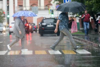Жителей Москвы предупредили о дожде с грозой в ближайшие часы - vm.ru - Россия - Московская обл. - Москва