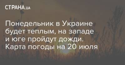 Наталья Диденко - Понедельник в Украине будет теплым, на западе и юге пройдут дожди. Карта погоды на 20 июля - strana.ua - Украина