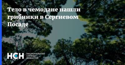 Сергиев Посад - Тело в чемодане нашли грибники в Сергиевом Посаде - nsn.fm - Россия - Московская обл.