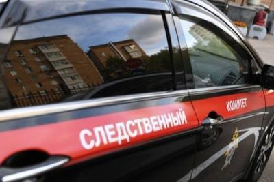 Дело возбуждено после нападения на дом экс-директора "Ростсельмаша" и убийства его сестры - interfax-russia.ru - Нападение