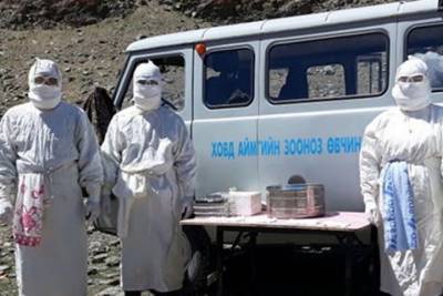 Вспышка бубонной чумы зафиксирована в Западной Монголии, на границе с Алтаем и Тувой - tayga.info - респ. Алтай - Монголия