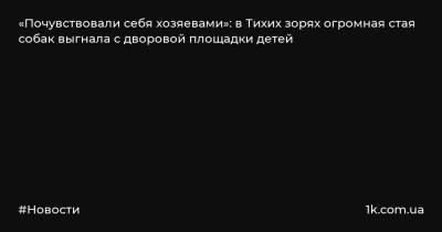 «Почувствовали себя хозяевами»: в Тихих зорях огромная стая собак выгнала с дворовой площадки детей - 1k.com.ua - Красноярск